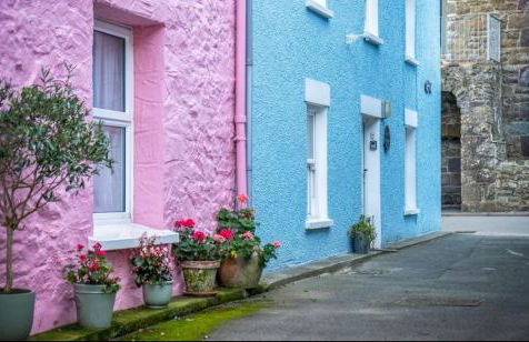 Calebs Cottage- Solva harbour - Photo 1