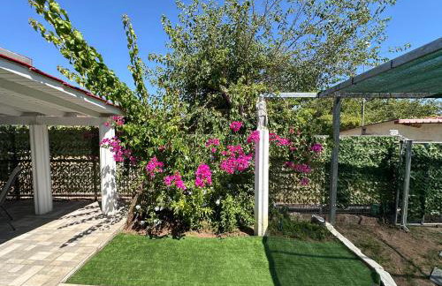 Hermes Grove - Foto 28