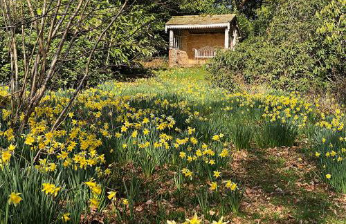 Eller How House - Private Regency Property & Lake - Foto 33