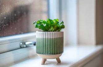 Bonnie Apartment - Foto 23