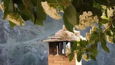 Cortijo La Solana - Foto 3