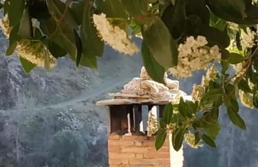 Cortijo La Solana - Foto 3