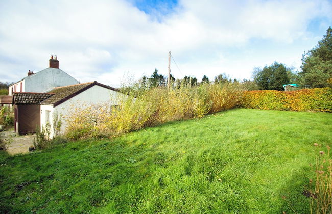 Accessible Bungalow - 4 Beds 2 Baths -dog Friendly - Foto 31