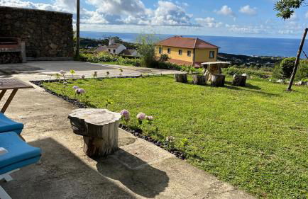 Biscoitos Top View - Photo 6