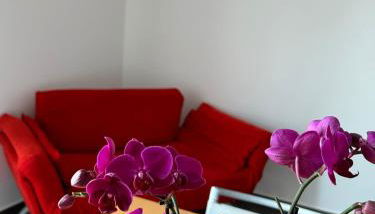 A due passi da - Photo 2