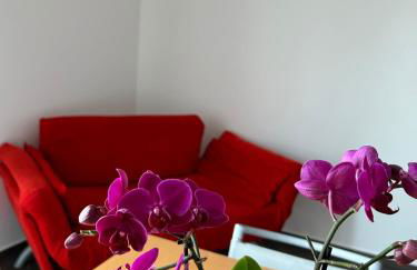 A due passi da - Foto 2