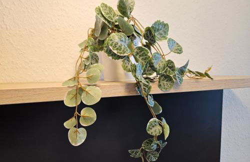 Race Yacht White Line - Foto 26