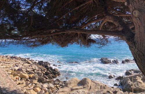 Villa Montefontane - Photo 20