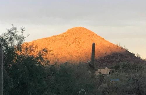 Tucson Mnt Foothills Saguaro Bliss - Foto 35