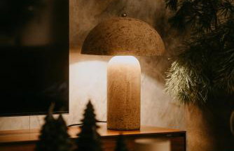 Warmia107-Butikowy dom nad jeziorem - Foto 61