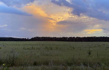 Zielony domek Drzewoszewo - Foto 35