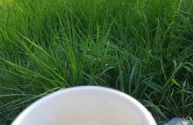 Agroturystyka pod Baranią Gorą - Foto 72