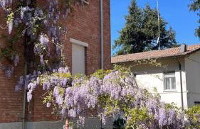 ROSSENA HOME tranquillo appartamento, con giardino, vicino al centro ed all'Ospedale Santa Maria Nuova SMN - Foto 47