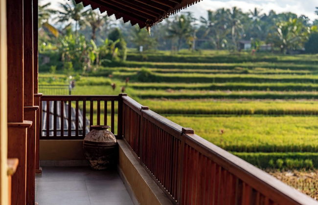 Barong Bali Resort Ubud - Foto 33