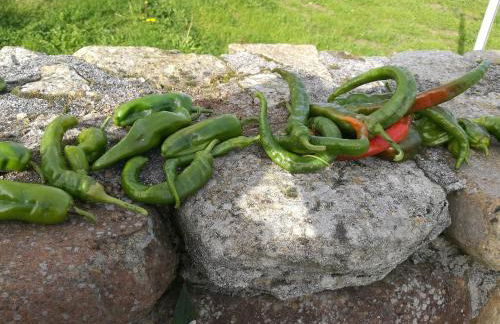 Las Azadas - Foto 43