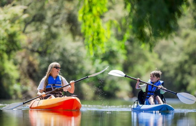 Mystic View Cottage Wandiligong - Foto 12