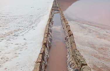 Vientos y Mares - Foto 22