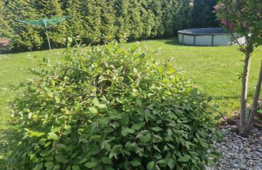 1 Zimmer Apartment an der Apfelallee - Foto 11