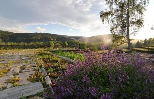 Chata nad Dziką Orlicą z jacuzzi - Foto 56