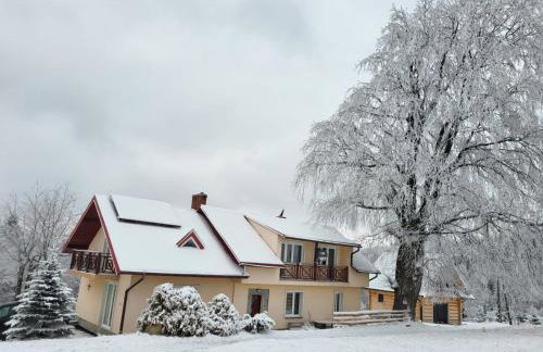 Dom przy szlaku GSB-Noclegi Na Przełęczy-Agroturystyka - Foto 17