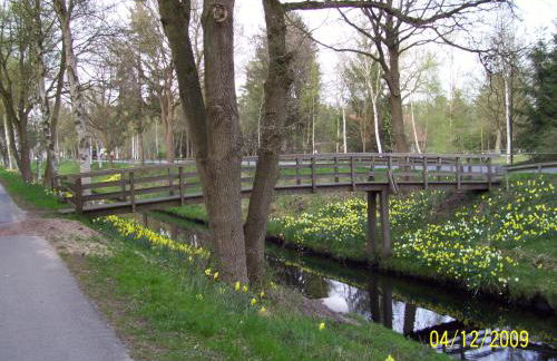 Fewo Worpswede - Foto 28