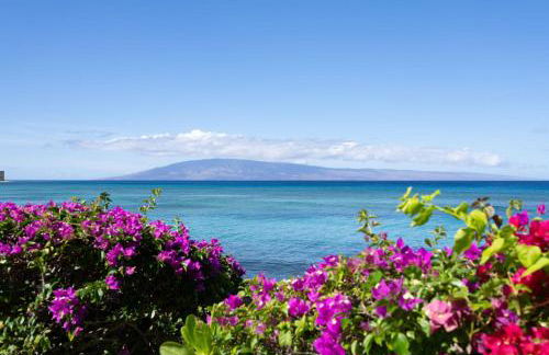 Kuleana 614 - 1Br Condo - Foto 90