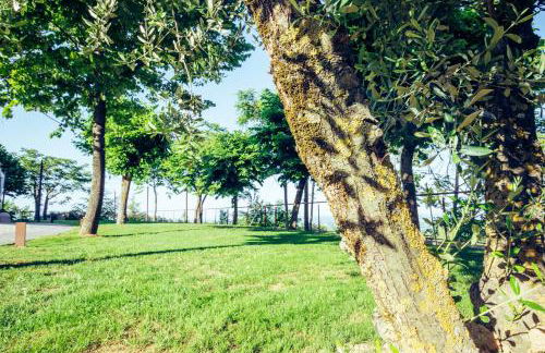 Agriturismo La Querciola - Foto 27