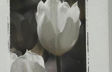 Calm of Cumbrae - Photo 9