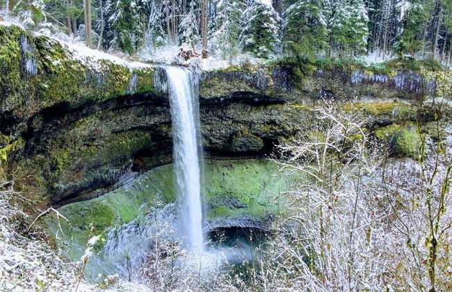 Excursión al Parque Estatal Silver Falls - Foto 3