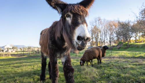 Chão do Rio - Turismo de Aldeia - Foto 2