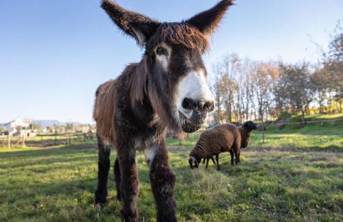 Chão do Rio - Turismo de Aldeia - Foto 2