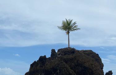 Apto litoral Sul- PB - Foto 3