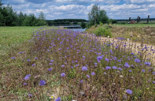 GRETA Nowoczesny domek modułowy nad stawem - Foto 45