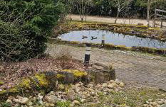 Romantisches Waldhaus mit Privatsauna, Grill und Feuerschtelle - Foto 42