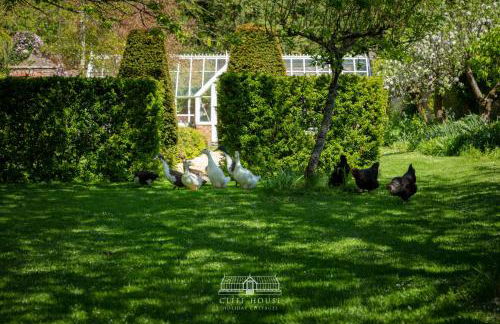 Cliff House Holiday Cottages - Foto 57