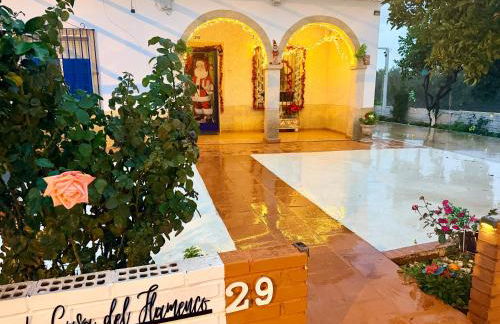 La Casa del Flamenco - Foto 4