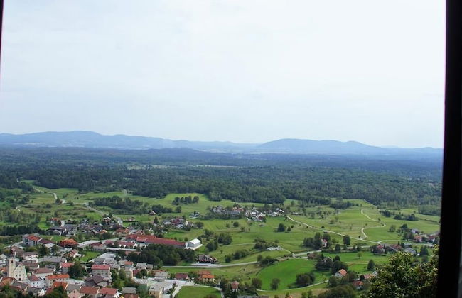 Vineyard Cottage Zajc - Photo 24