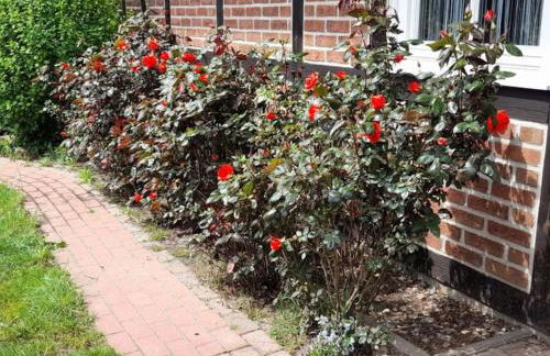 Ferienhaus Gartower See - Foto 7