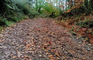 Apartamento Rural El Rinconcito - Foto 43