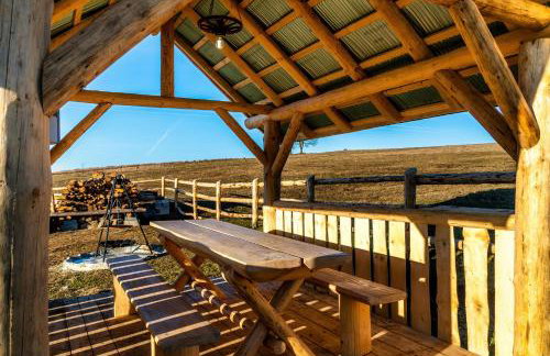 Domki-Przystanek Dzianisz - Foto 76