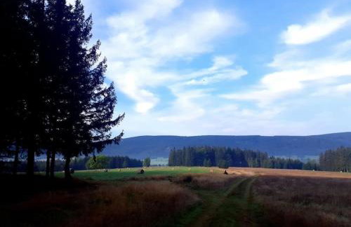 Komfortowy dom z bali koło Zieleńca z widokiem na góry - Foto 37