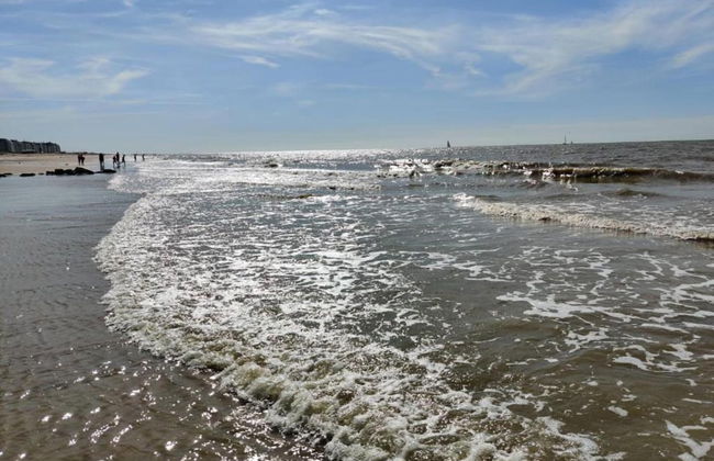 Chalet in De Haan Near Sandy Beaches - Photo 40