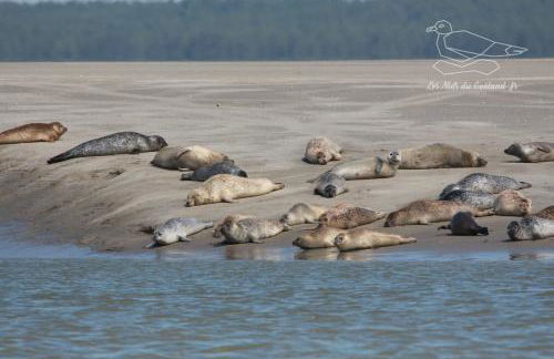 Gîte Oasis Ault - Ciné, Balnéo & Confort à la Mer - Foto 75
