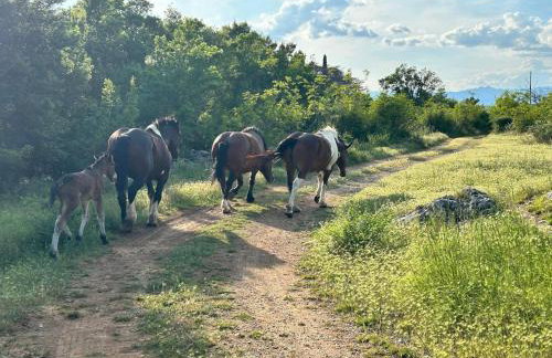 Villa Luna - Foto 77