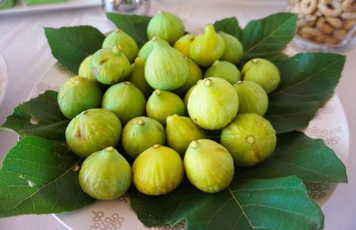 Masseria Pappo - Foto 49