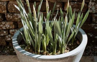 Gatecroft House - Foto 21