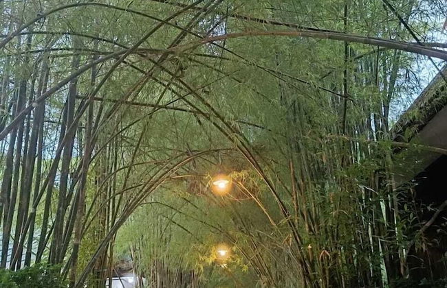 Mamatua N. Saleo Villa - Foto 24