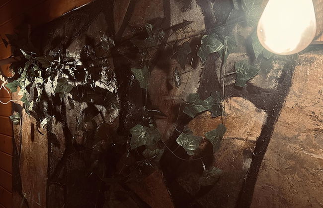 Royal Bungalow Resort - Rize - Foto 27