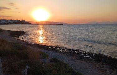 Agistri SOPHIA'S APARTMENT - Foto 19