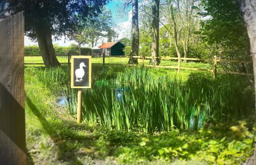 The Little Barn - Foto 51